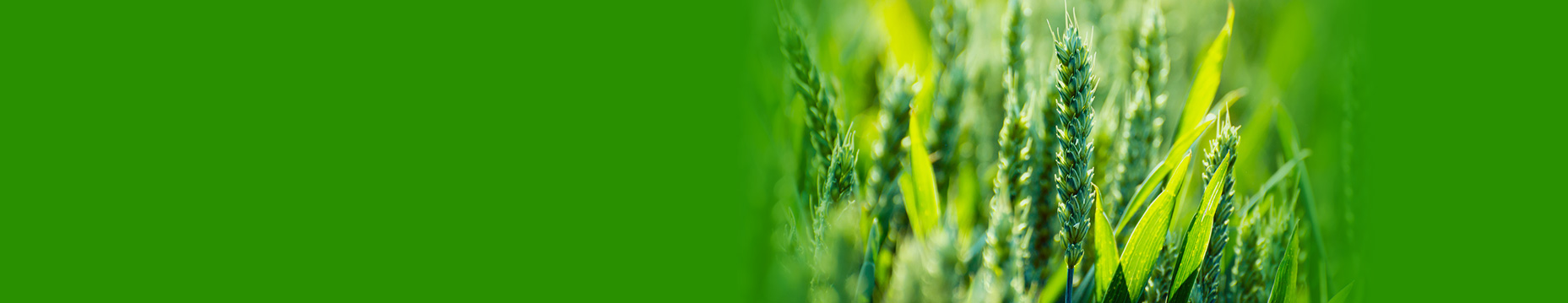 智慧農(nóng)業(yè)